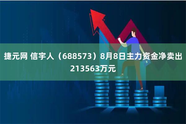 捷元网 信宇人（688573）8月8日主力资金净卖出213563万元