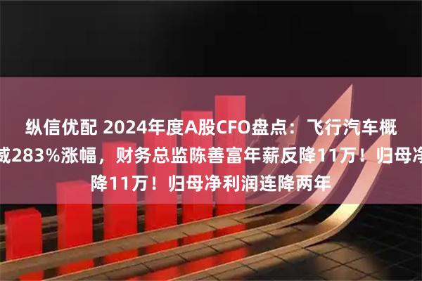 纵信优配 2024年度A股CFO盘点：飞行汽车概念炒出万丰奥威283%涨幅，财务总监陈善富年薪反降11万！归母净利润连降两年