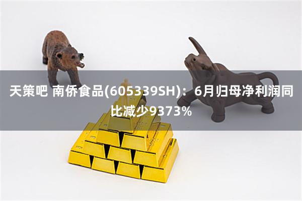 天策吧 南侨食品(605339SH)：6月归母净利润同比减少9373%