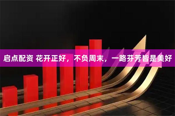 启点配资 花开正好，不负周末，一路芬芳皆是美好